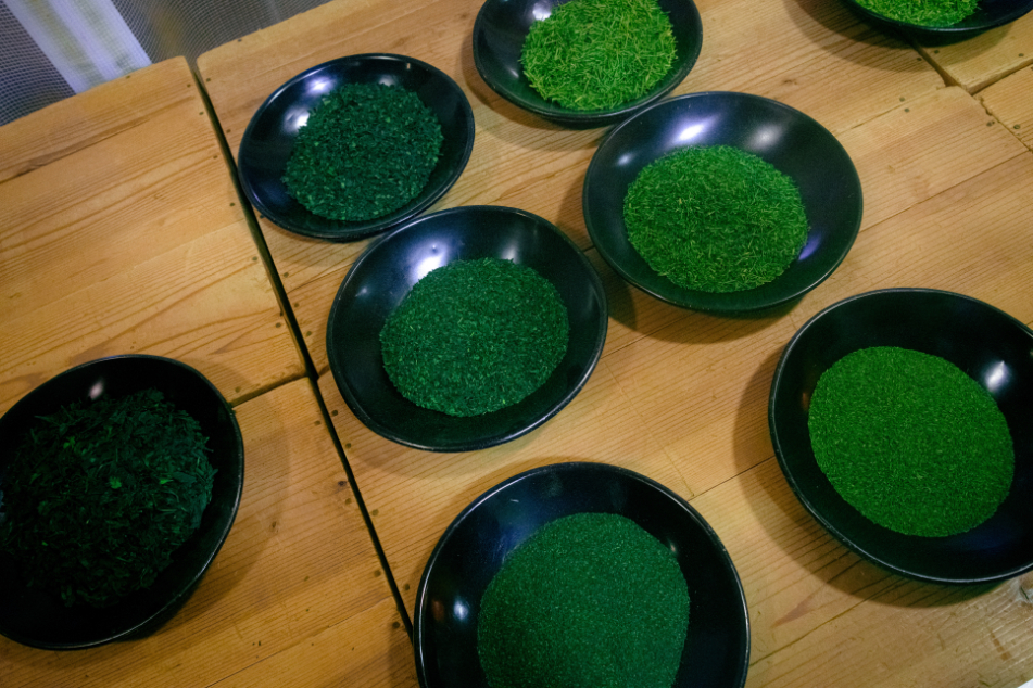 Several black bowls filled with different grades of green tea leaves arranged on