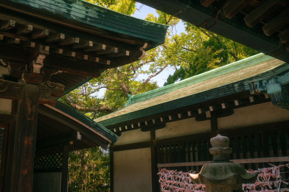 Traditional Japanese temple rooftops framed by trees