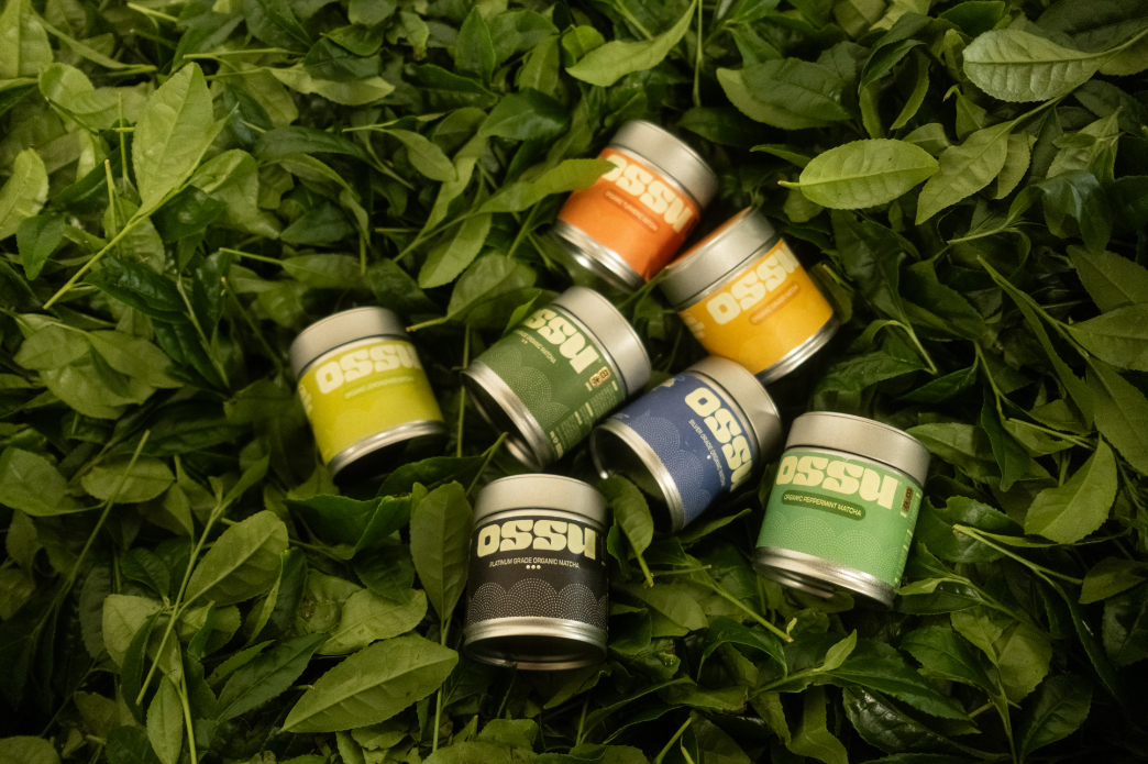 Assortment of OSSU matcha tins arranged on fresh green tea leaves