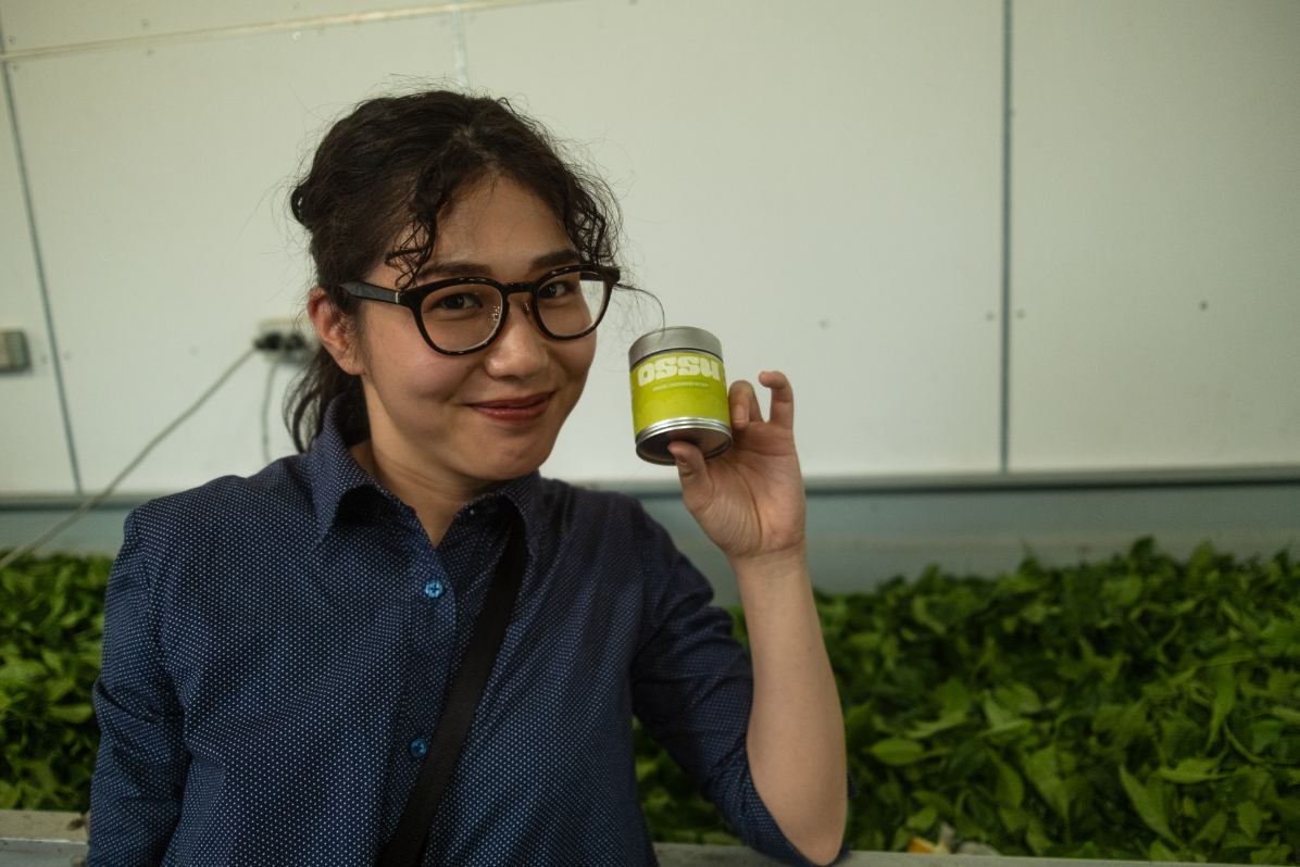 Woman smiling and holding an OSSU Lemongrass matcha tin in front of fresh tea leaves