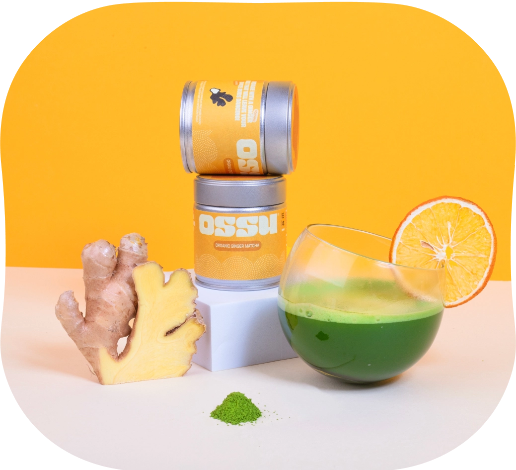 OSSU organic ginger matcha tins with fresh ginger root and a glass of prepared matcha tea