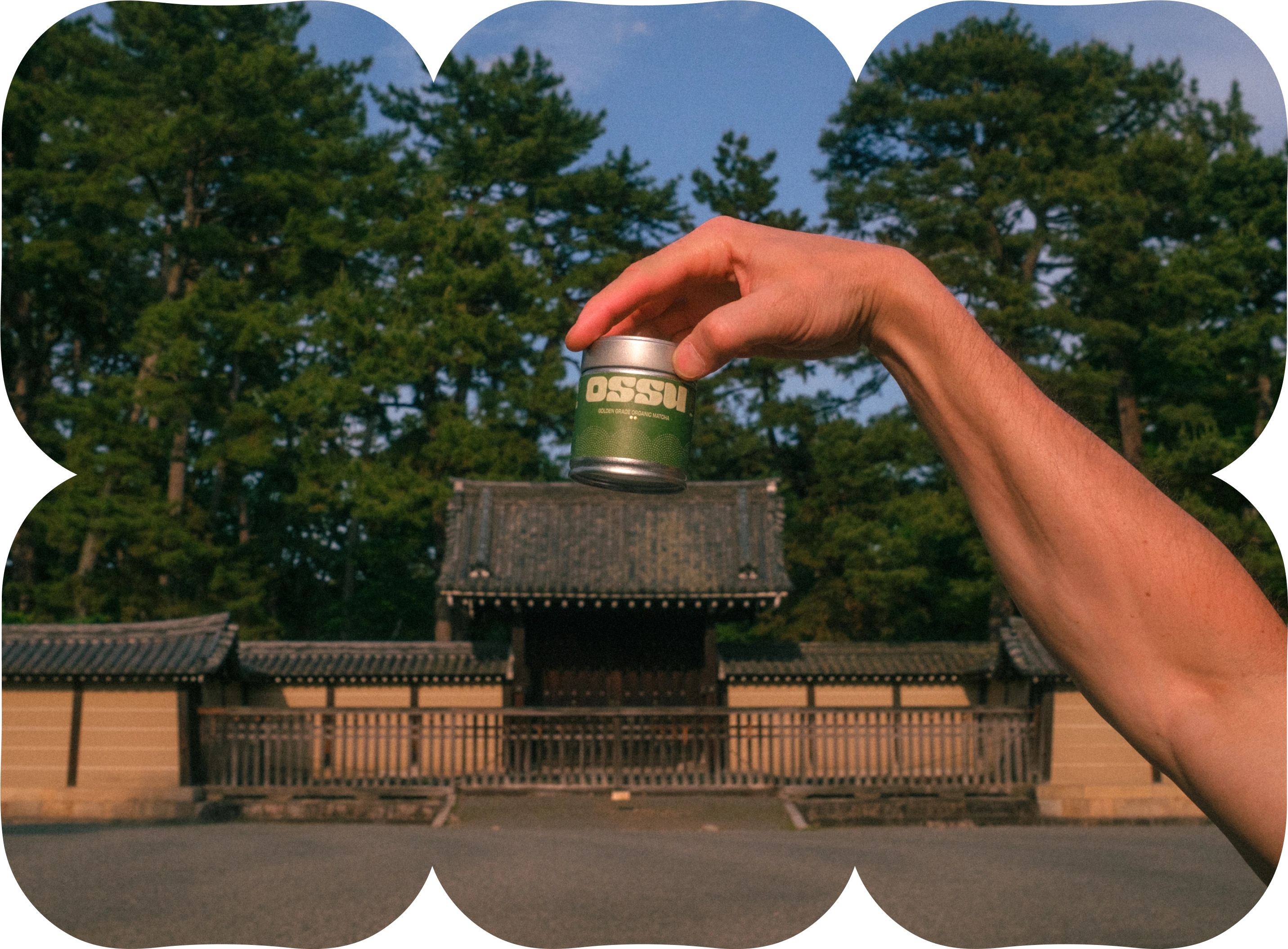 Hand holding an OSSU matcha tin in front of a traditional Japanese temple and trees.