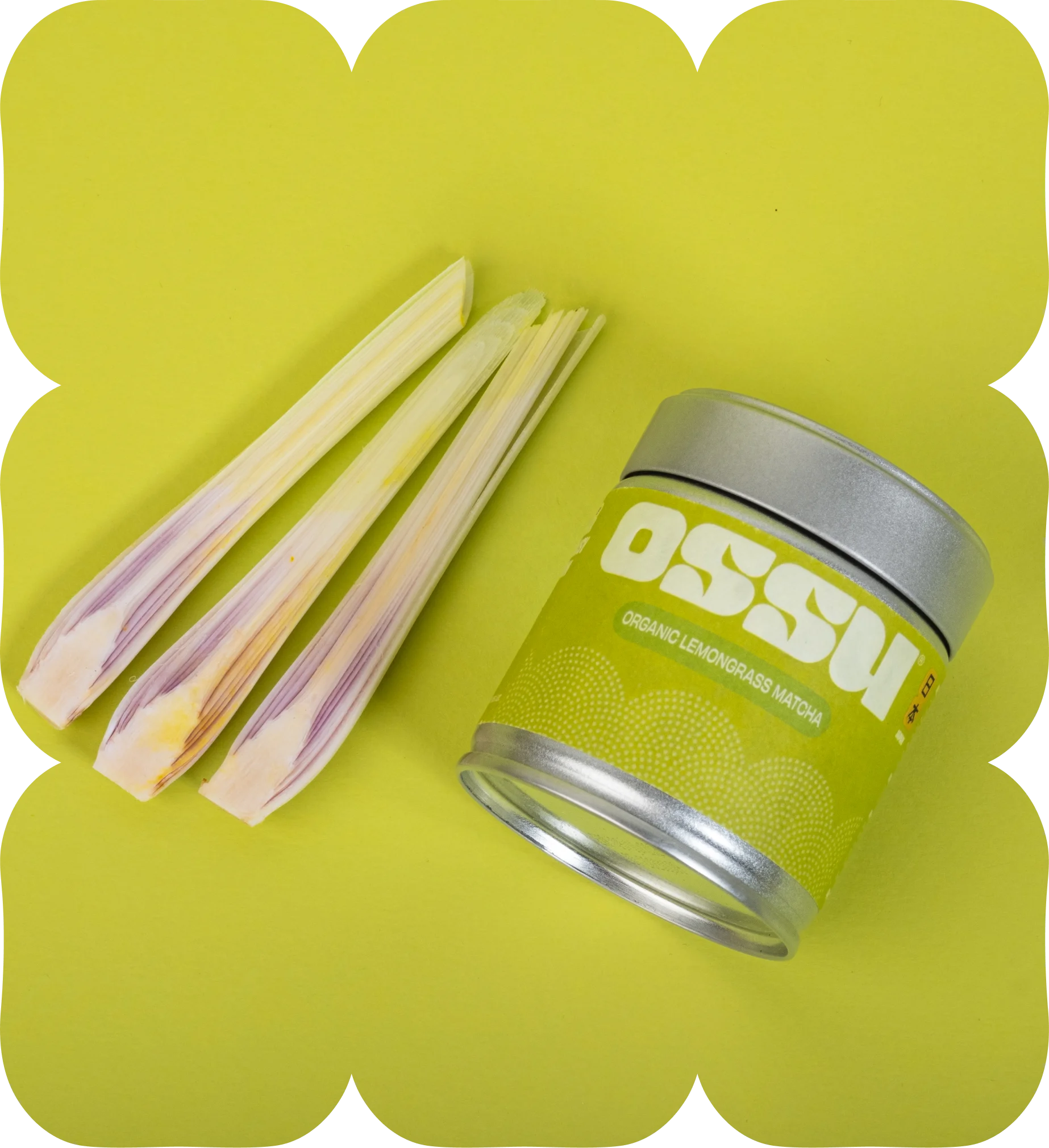 OSSU organic lemongrass matcha tin with fresh lemongrass stalks on a bright green background