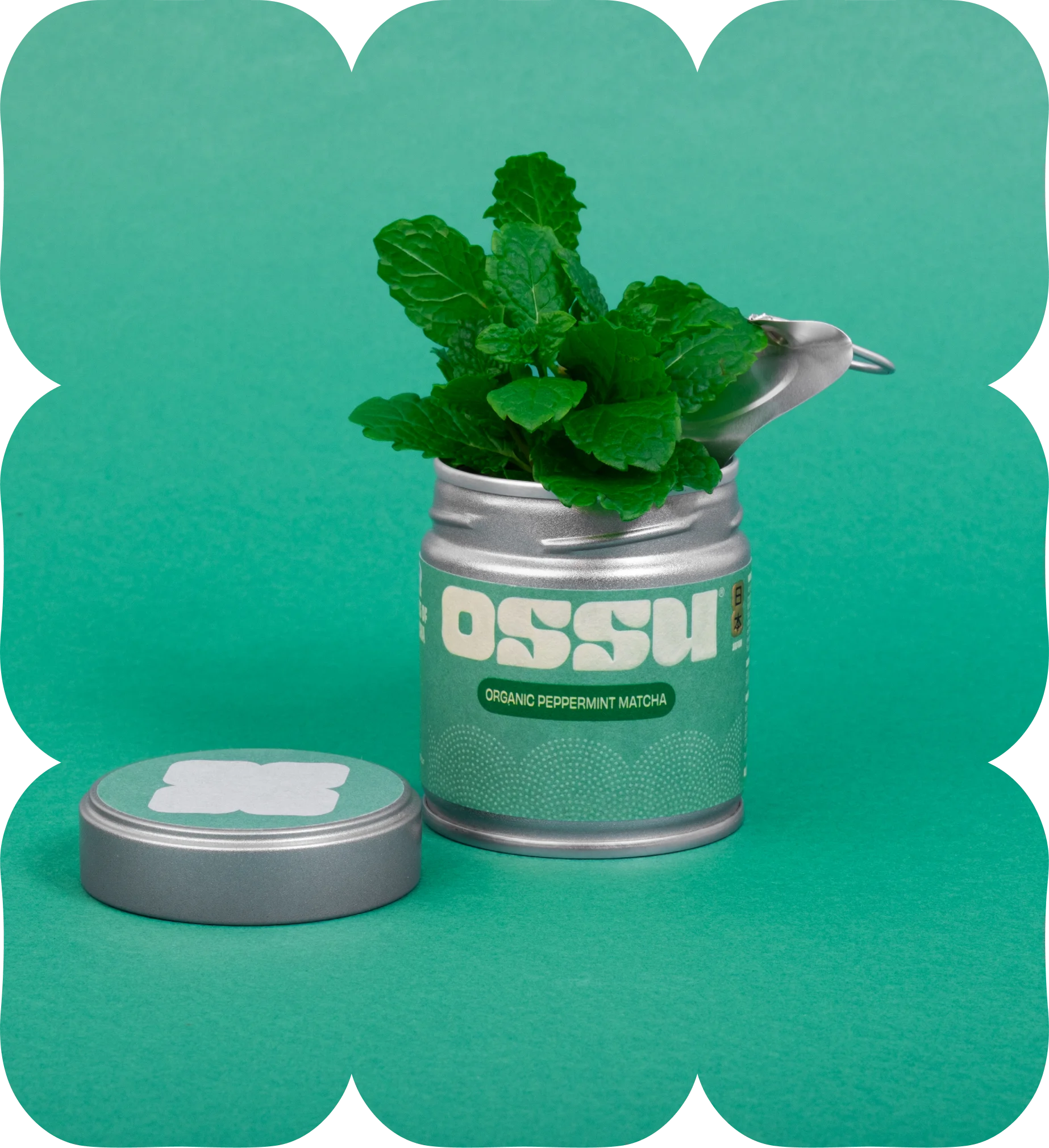 Tin of OSSU organic peppermint matcha filled with fresh mint leaves on a teal background